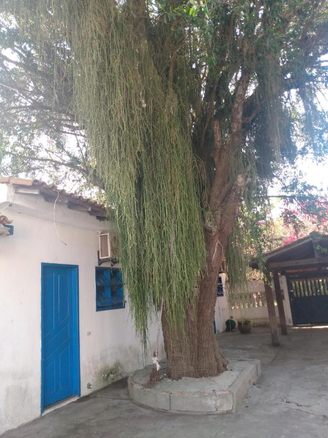 Casa Da Ilha *