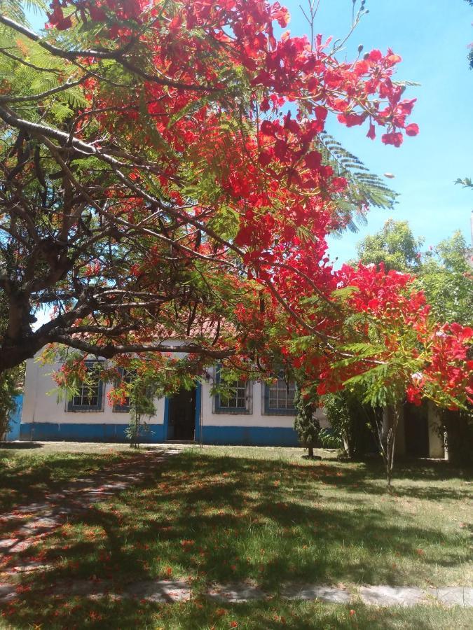 Casa Da Ilha *